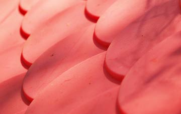 Muir Of Pert plastic roof costs