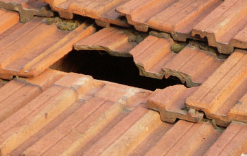 roof repair Muir Of Pert, Angus