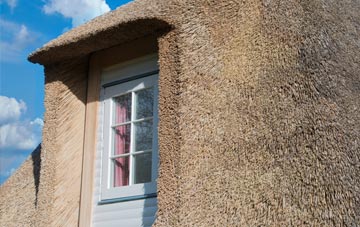 Muir Of Pert thatch roof disadvantages