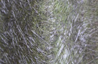 Muir Of Pert fibreglass roof work